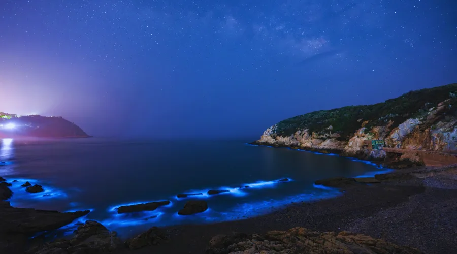 Best Places To See Bioluminescence In The World