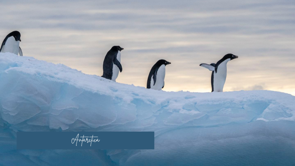 Antarctica