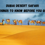Dubai Desert Safari Things To Know Before You Go
