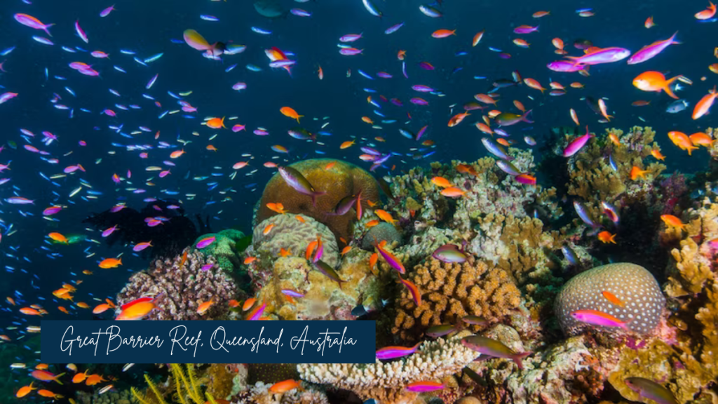 Great Barrier Reef, Queensland, Australia