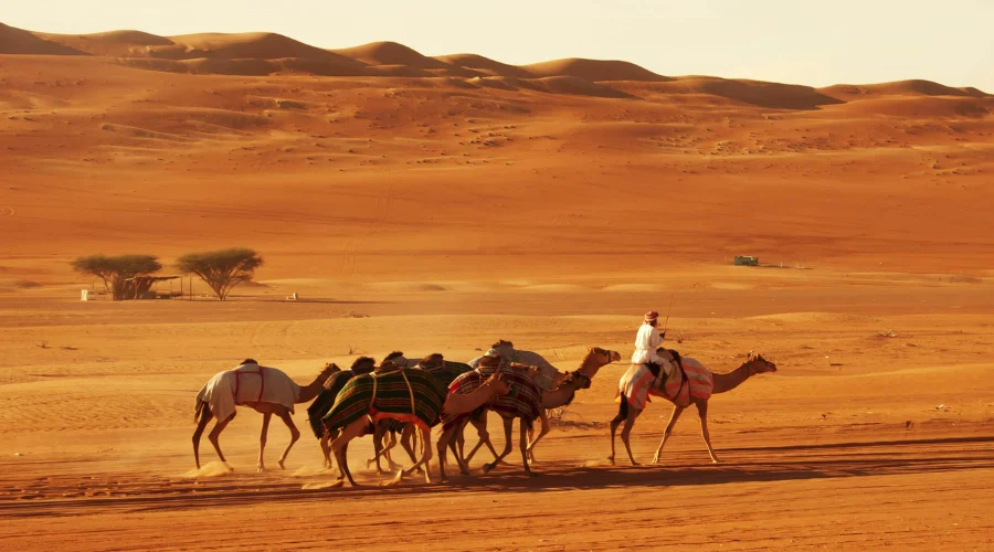 Sharqiya Sands